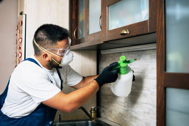 Best Emergency Pest Control  in Globe, AZ