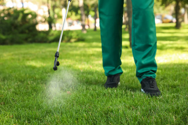 Best Wildlife Control Services  in Globe, AZ