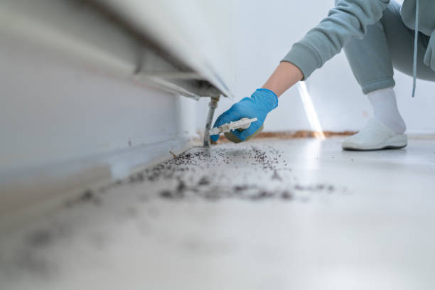 Reliable Globe, AZ Pest Control Solutions