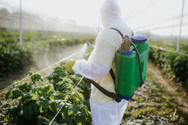 Best Best Pest Control Companies  in Globe, AZ
